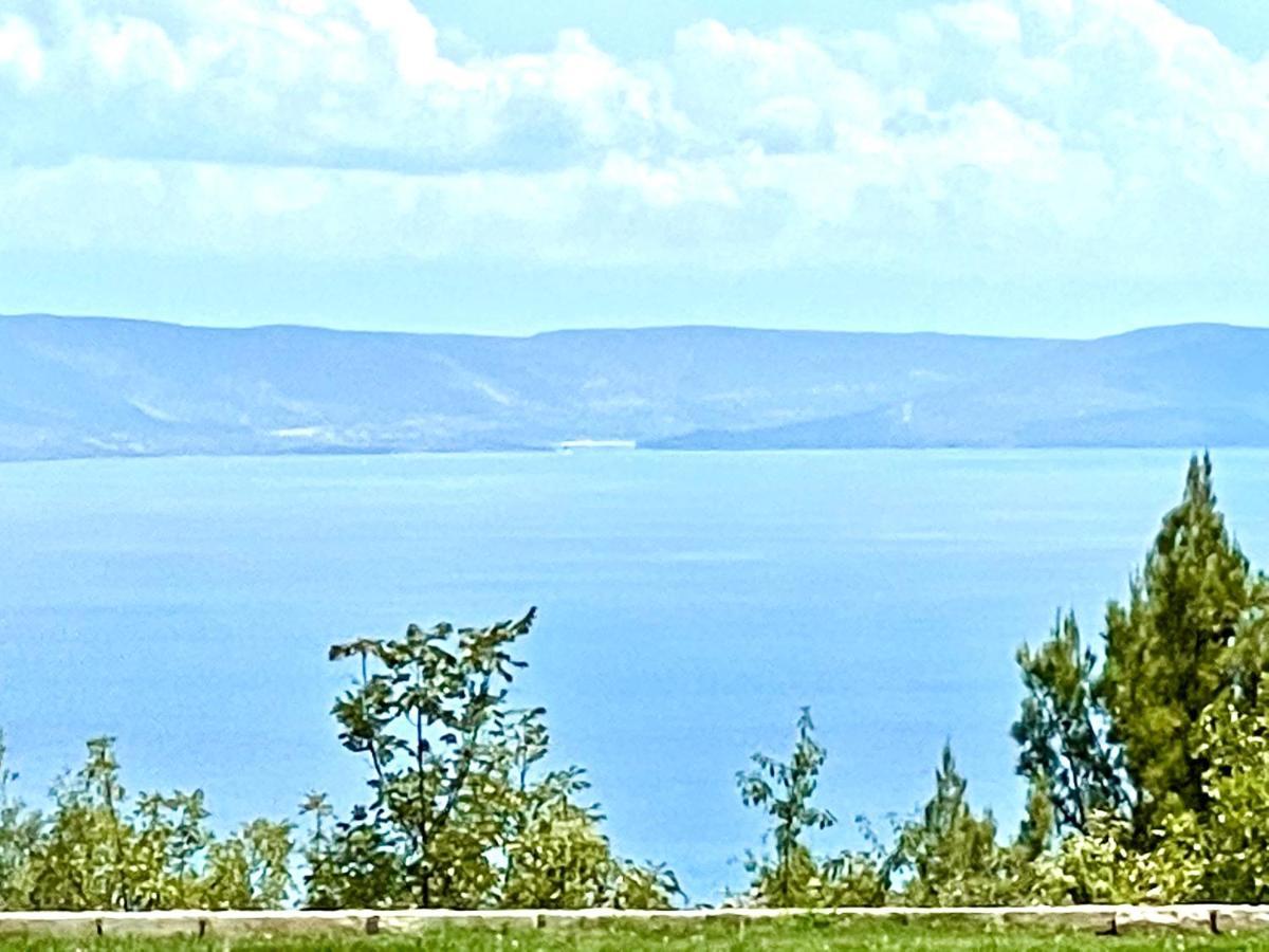 Luxury Panorama Vila With Amazing Seaview In Gondolici 7 Km From Rabac Labin  Eksteriør billede