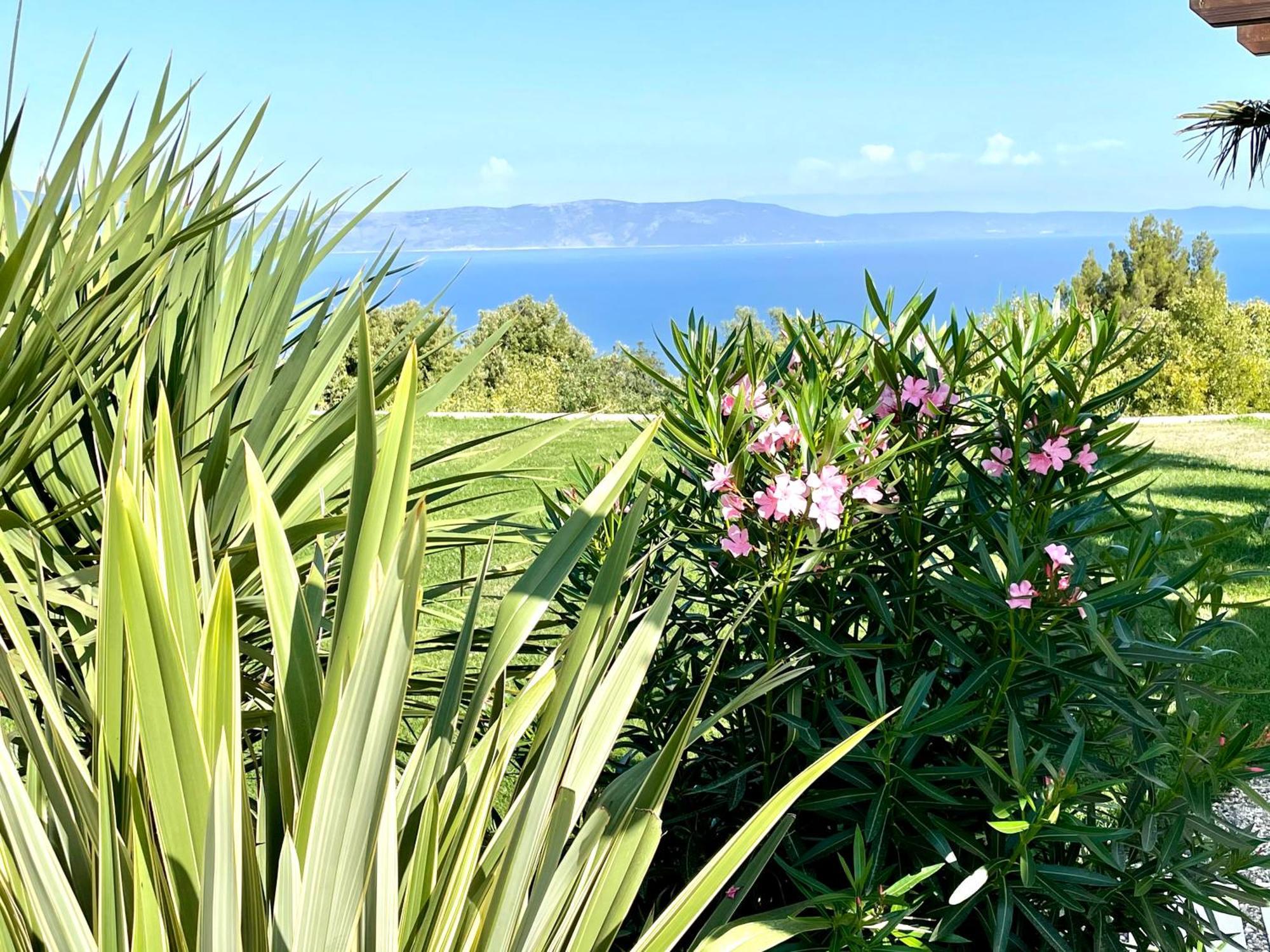 Luxury Panorama Vila With Amazing Seaview In Gondolici 7 Km From Rabac Labin  Eksteriør billede